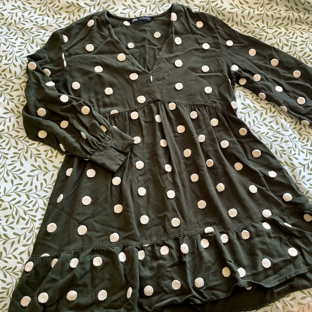 Zara Long Sleeved Mini Dress
